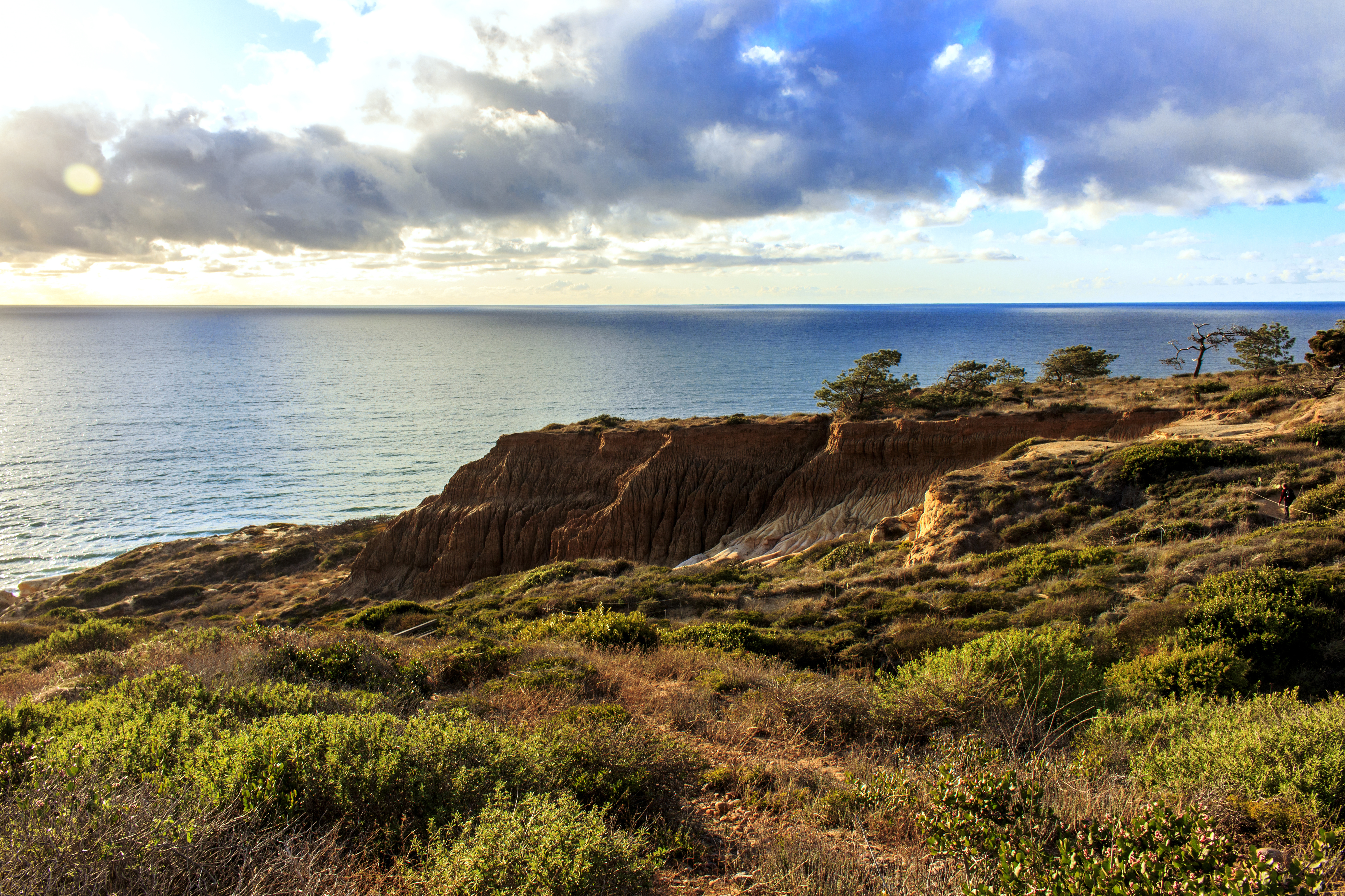 Cliff Path and Ocean Blue